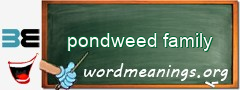 WordMeaning blackboard for pondweed family